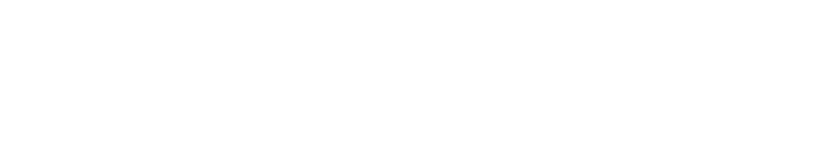 Novaerus